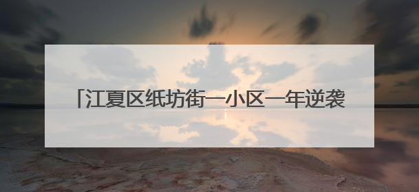 江夏区纸坊街一小区一年逆袭 荣获2024年示范项目