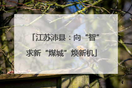 江苏沛县：向“智”求新“煤城”焕新机