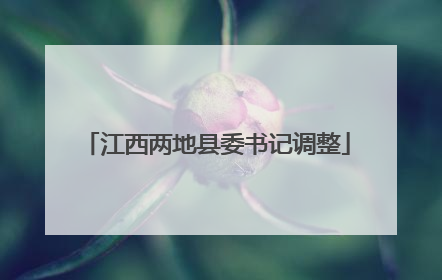 江西两地县委书记调整