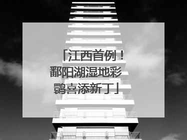 江西首例！鄱阳湖湿地彩鹮喜添新丁