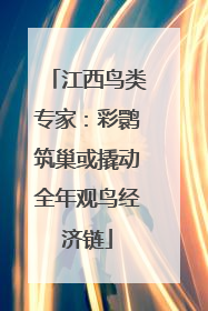 江西鸟类专家：彩鹮筑巢或撬动全年观鸟经济链