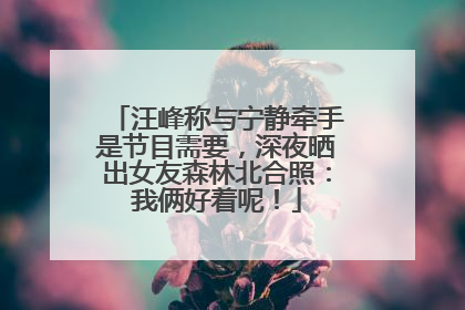 汪峰称与宁静牵手是节目需要，深夜晒出女友森林北合照：我俩好着呢！