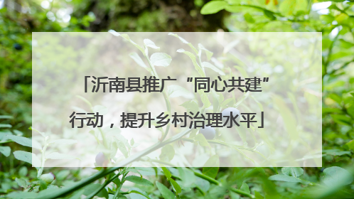 沂南县推广“同心共建”行动，提升乡村治理水平