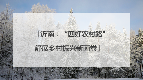 沂南：“四好农村路”舒展乡村振兴新画卷