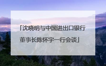 沈晓明与中国进出口银行董事长陈怀宇一行会谈