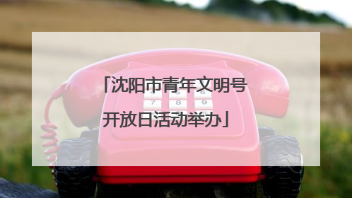 沈阳市青年文明号开放日活动举办