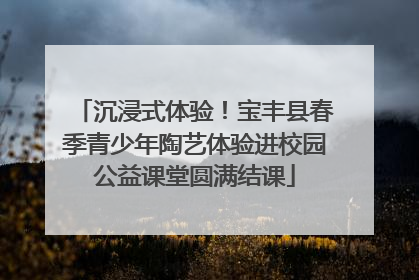 沉浸式体验！宝丰县春季青少年陶艺体验进校园公益课堂圆满结课