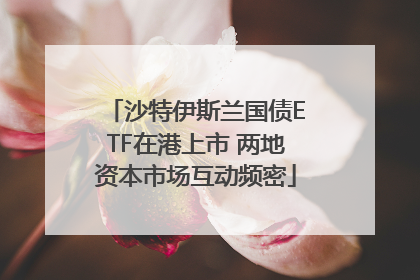 沙特伊斯兰国债ETF在港上市 两地资本市场互动频密