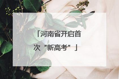 河南省开启首次“新高考”