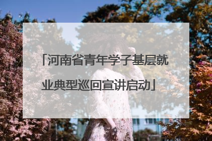 河南省青年学子基层就业典型巡回宣讲启动