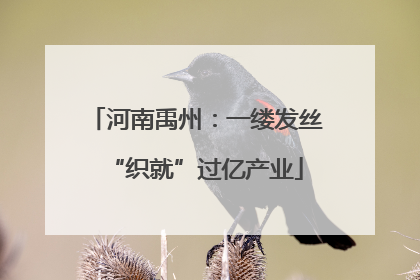 河南禹州：一缕发丝“织就”过亿产业