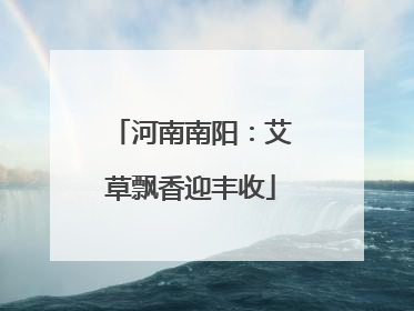 河南南阳：艾草飘香迎丰收
