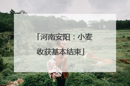 河南安阳：小麦收获基本结束