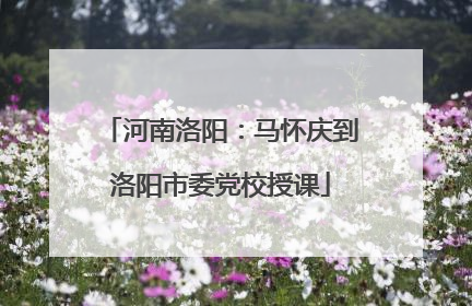 河南洛阳：马怀庆到洛阳市委党校授课