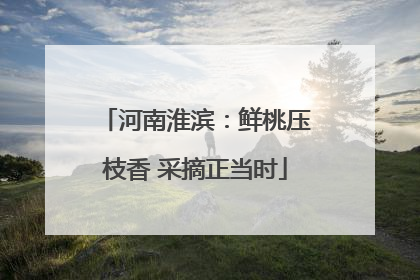 河南淮滨：鲜桃压枝香 采摘正当时