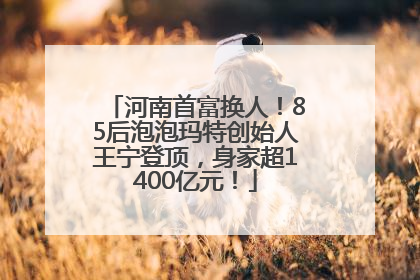 河南首富换人！85后泡泡玛特创始人王宁登顶，身家超1400亿元！