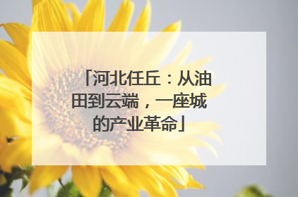 河北任丘：从油田到云端，一座城的产业革命