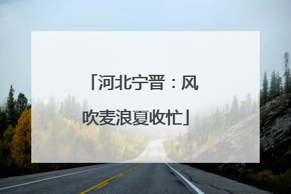 河北宁晋：风吹麦浪夏收忙