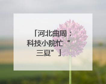 河北曲周：科技小院忙“三夏”