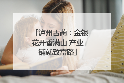 泸州古蔺：金银花开香满山 产业铺就致富路