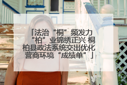 法治“桐”频发力 “柏”业锦绣正兴 桐柏县政法系统交出优化营商环境“成绩单”