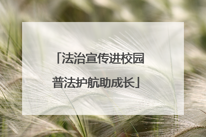 法治宣传进校园 普法护航助成长