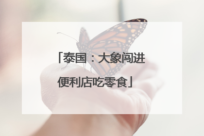 泰国:大象闯进便利店吃零食