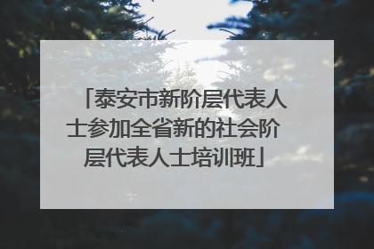 泰安市新阶层代表人士参加全省新的社会阶层代表人士培训班