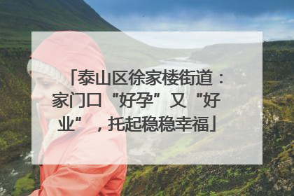 泰山区徐家楼街道：家门口“好孕”又“好业”，托起稳稳幸福