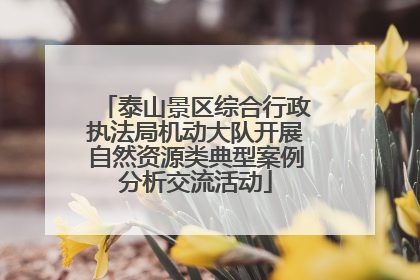 泰山景区综合行政执法局机动大队开展自然资源类典型案例分析交流活动