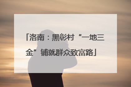 洛南：黑彰村“一地三金”铺就群众致富路