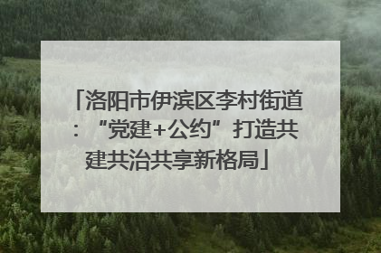 洛阳市伊滨区李村街道：“党建+公约”打造共建共治共享新格局