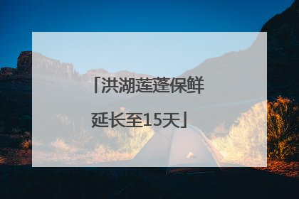 洪湖莲蓬保鲜延长至15天
