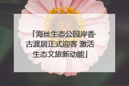 海丝生态公园岸香·古渡居正式迎客 激活生态文旅新动能