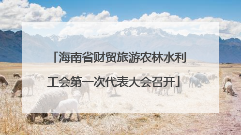 海南省财贸旅游农林水利工会第一次代表大会召开