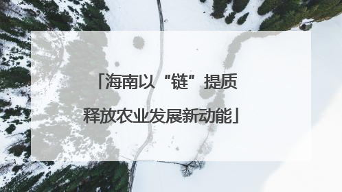 海南以“链”提质 释放农业发展新动能