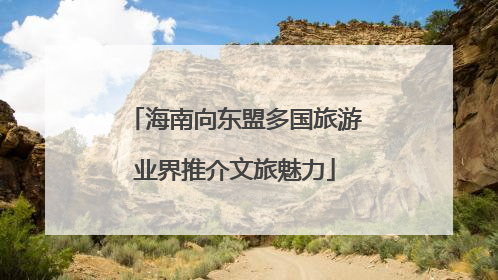海南向东盟多国旅游业界推介文旅魅力