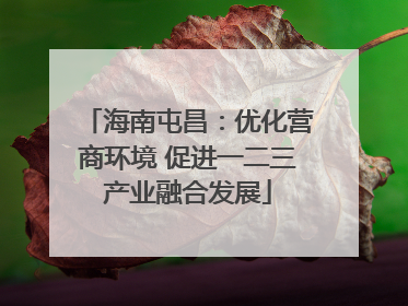 海南屯昌：优化营商环境 促进一二三产业融合发展