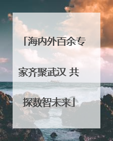 海内外百余专家齐聚武汉 共探数智未来