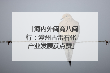 海内外闽商八闽行：漳州古雷石化产业发展获点赞