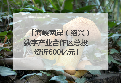 海峡两岸（绍兴）数字产业合作区总投资近600亿元