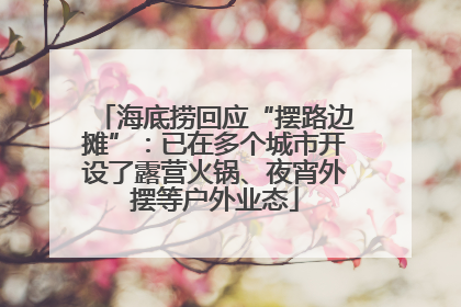 海底捞回应“摆路边摊”：已在多个城市开设了露营火锅、夜宵外摆等户外业态