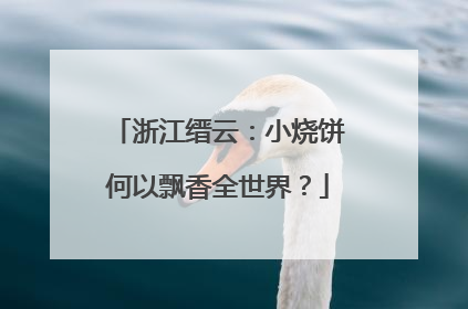 浙江缙云：小烧饼何以飘香全世界？