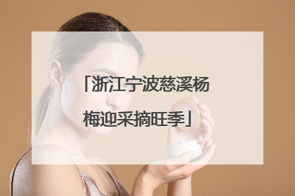 浙江宁波慈溪杨梅迎采摘旺季