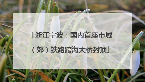 浙江宁波：国内首座市域（郊）铁路跨海大桥封顶