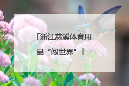 浙江慈溪体育用品“闯世界”