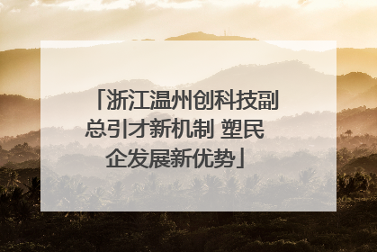 浙江温州创科技副总引才新机制 塑民企发展新优势