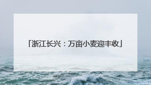 浙江长兴：万亩小麦迎丰收