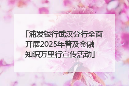 浦发银行武汉分行全面开展2025年普及金融知识万里行宣传活动