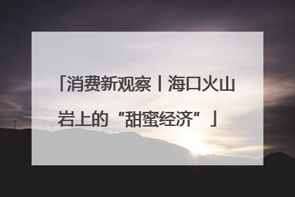 消费新观察丨海口火山岩上的“甜蜜经济”